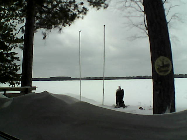 Whiteface Cam Image - Fri, 04/04/2014 2:28pm 