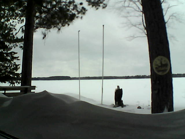 Whiteface Cam Image - Fri, 04/04/2014 3:08pm 