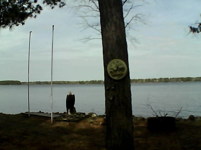 Whiteface Cam Image - Wed, 05/07/2014 10:55am 