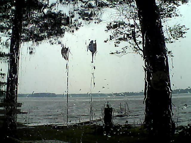 Whiteface Cam Image - Mon, 06/29/2015 11:53am 