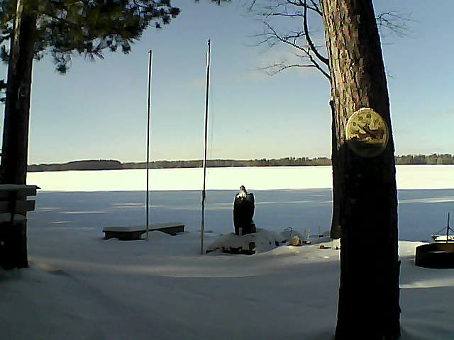 Whiteface Cam Image - Tue, 01/12/2016 1:48pm 