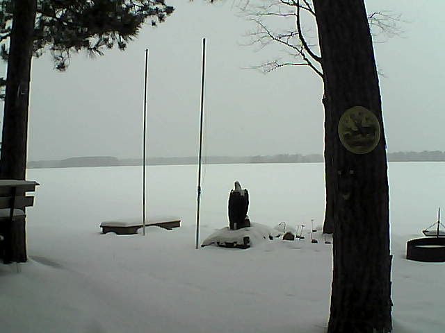 Whiteface Cam Image - Thu, 01/14/2016 10:24am 