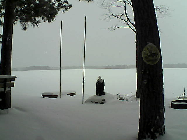 Whiteface Cam Image - Fri, 01/15/2016 11:23am 