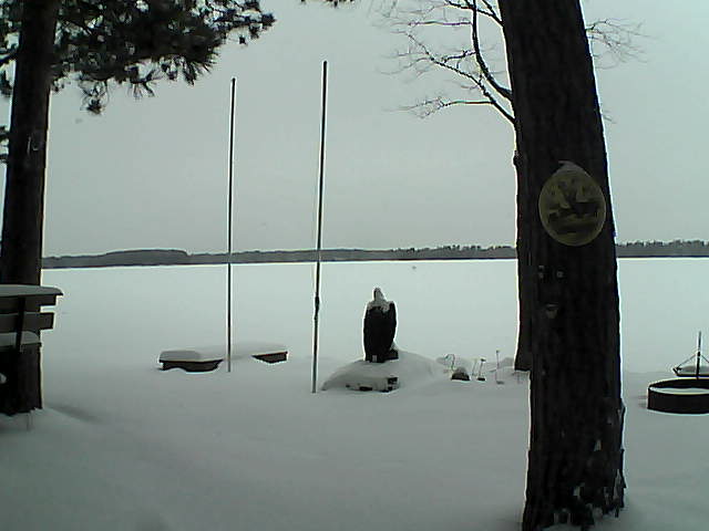 Whiteface Cam Image - Fri, 01/15/2016 3:43pm 