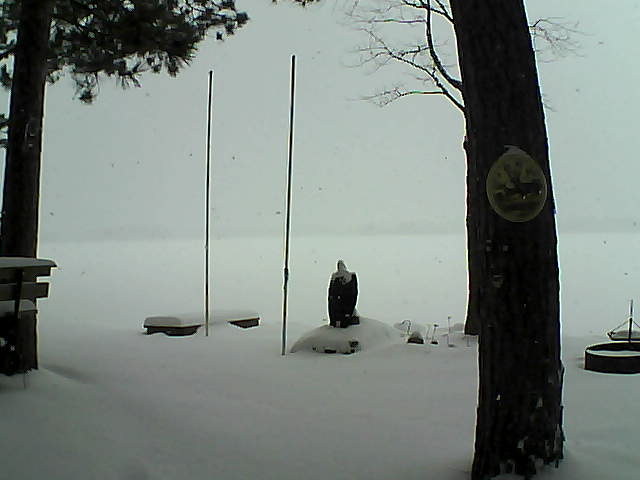 Whiteface Cam Image - Fri, 01/15/2016 4:03pm 