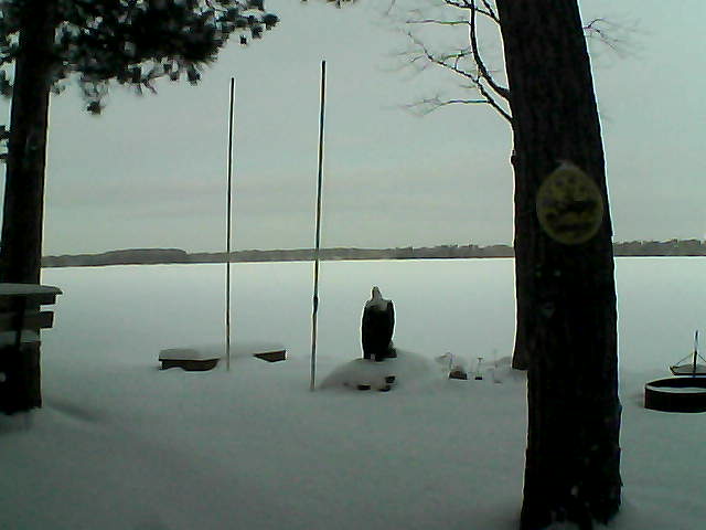 Whiteface Cam Image - Sat, 01/16/2016 7:24am 