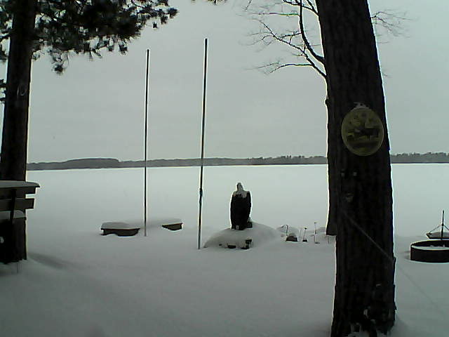 Whiteface Cam Image - Sat, 01/16/2016 1:24pm 