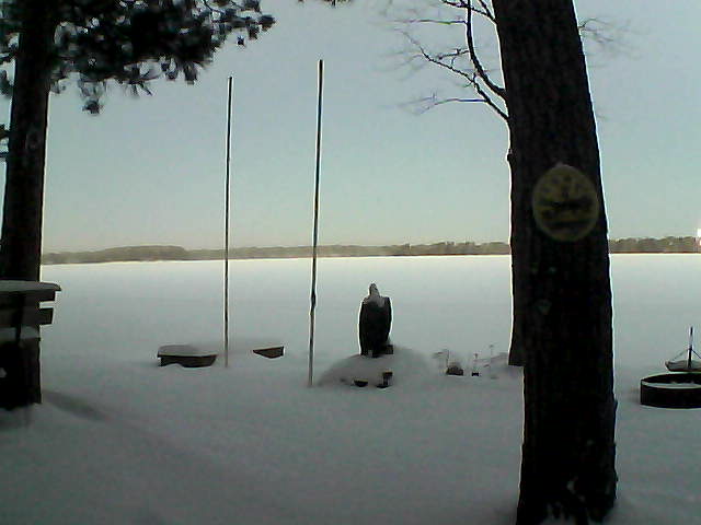 Whiteface Cam Image - Sun, 01/17/2016 7:24am 