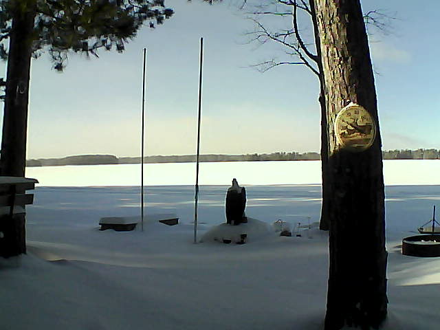 Whiteface Cam Image - Sun, 01/17/2016 2:04pm 