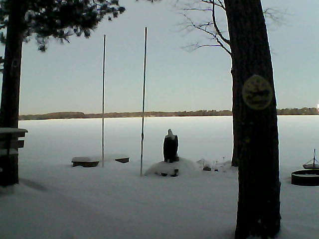 Whiteface Cam Image - Mon, 01/18/2016 7:23am 