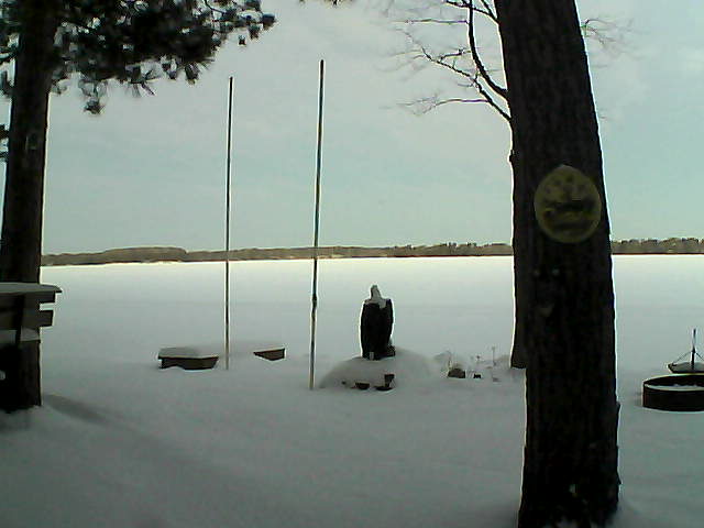 Whiteface Cam Image - Tue, 01/19/2016 7:24am 