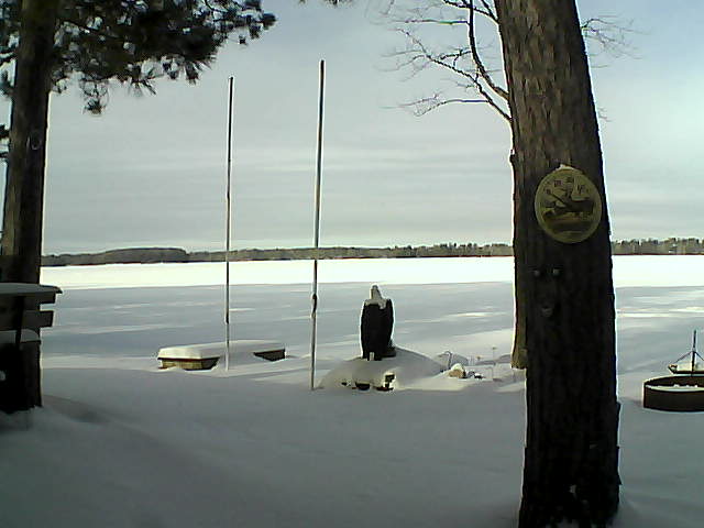Whiteface Cam Image - Tue, 01/19/2016 11:24am 