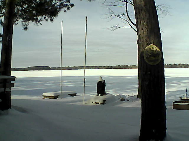 Whiteface Cam Image - Tue, 01/19/2016 11:44am 