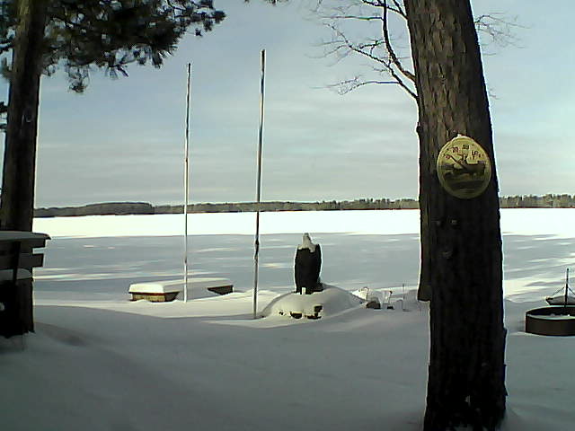 Whiteface Cam Image - Tue, 01/19/2016 12:04pm 