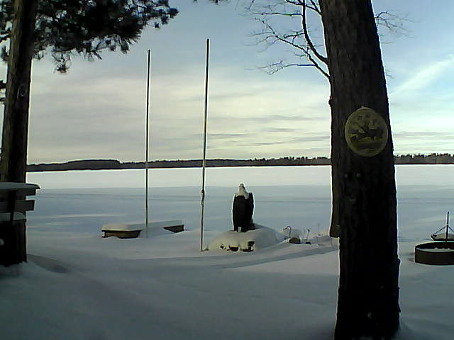 Whiteface Cam Image - Tue, 01/19/2016 12:44pm 