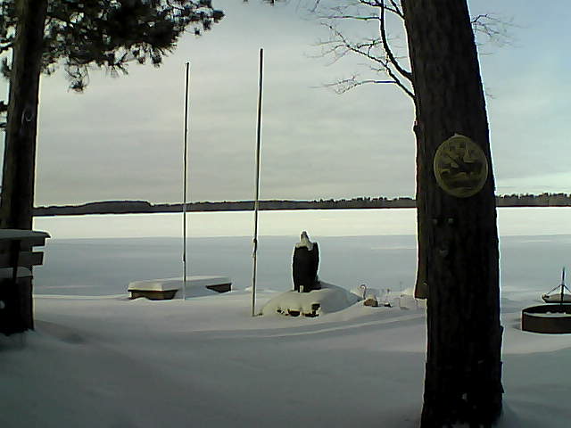 Whiteface Cam Image - Tue, 01/19/2016 1:04pm 