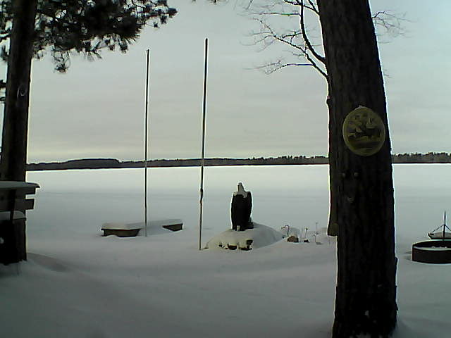 Whiteface Cam Image - Tue, 01/19/2016 1:24pm 