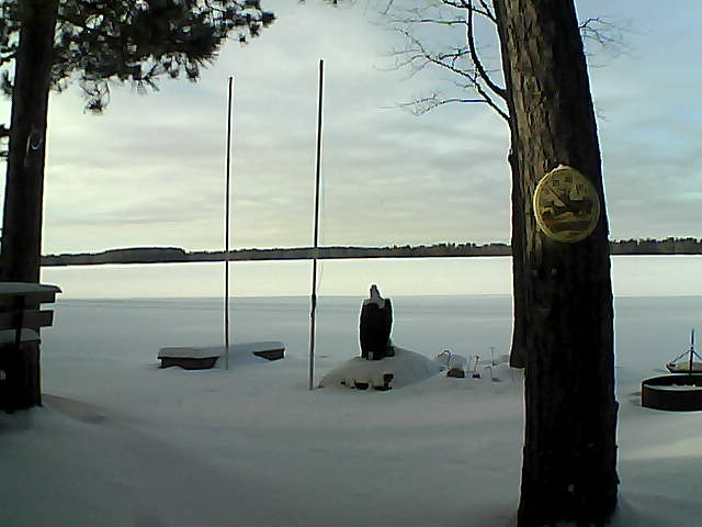 Whiteface Cam Image - Tue, 01/19/2016 2:04pm 