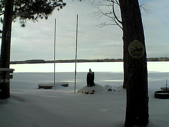 Whiteface Cam Image - Tue, 01/19/2016 2:24pm 