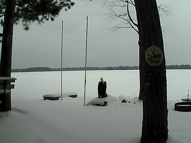 Whiteface Cam Image - Sat, 01/23/2016 10:05am 