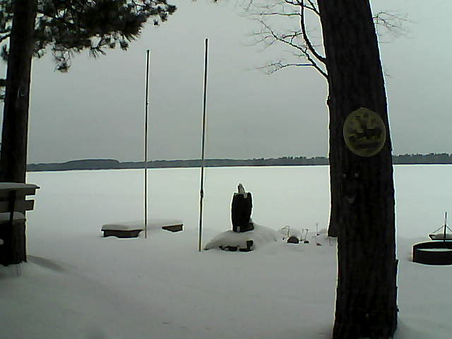 Whiteface Cam Image - Sat, 01/23/2016 11:05am 