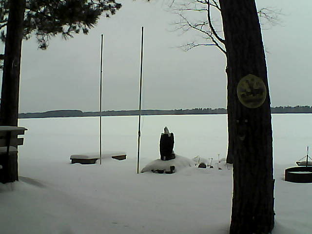 Whiteface Cam Image - Sat, 01/23/2016 12:05pm 