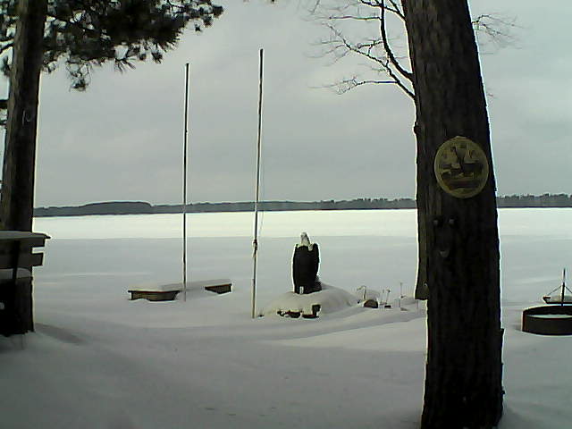 Whiteface Cam Image - Sat, 01/23/2016 12:45pm 