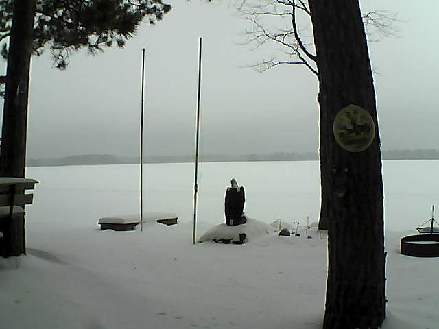 Whiteface Cam Image - Sun, 01/24/2016 8:43am 