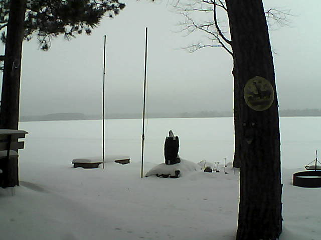 Whiteface Cam Image - Sun, 01/24/2016 9:03am 