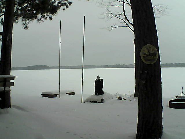 Whiteface Cam Image - Sun, 01/24/2016 11:43am 