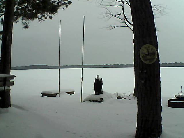 Whiteface Cam Image - Sun, 01/24/2016 2:03pm 