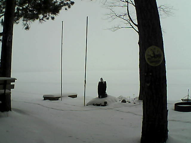 Whiteface Cam Image - Mon, 01/25/2016 8:43am 