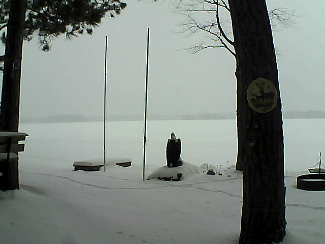 Whiteface Cam Image - Mon, 01/25/2016 10:44am 