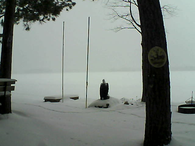 Whiteface Cam Image - Mon, 01/25/2016 12:24pm 