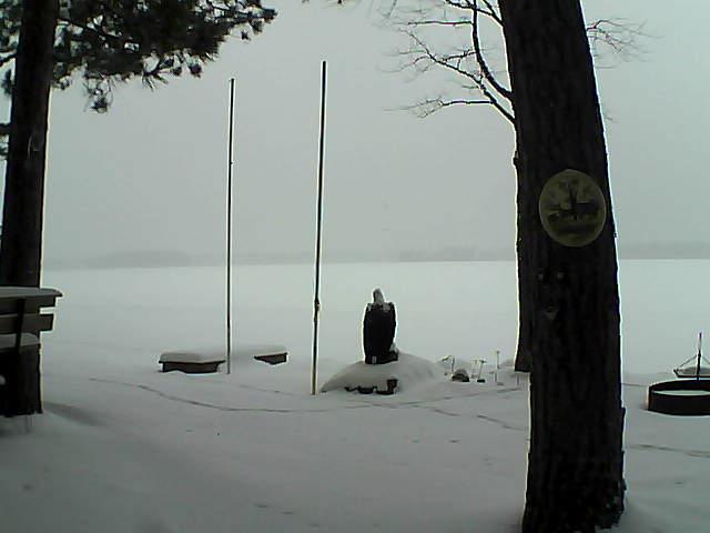 Whiteface Cam Image - Mon, 01/25/2016 12:44pm 