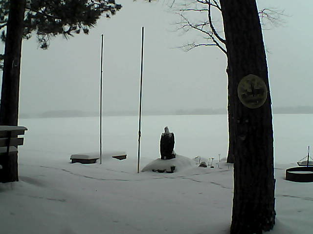 Whiteface Cam Image - Mon, 01/25/2016 2:24pm 