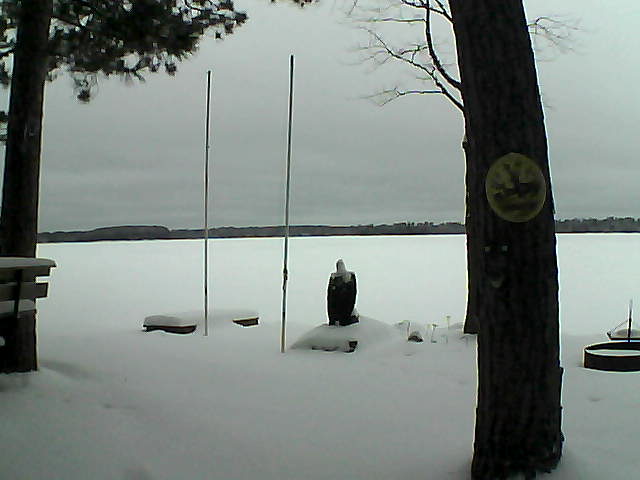 Whiteface Cam Image - Tue, 01/26/2016 7:24am 