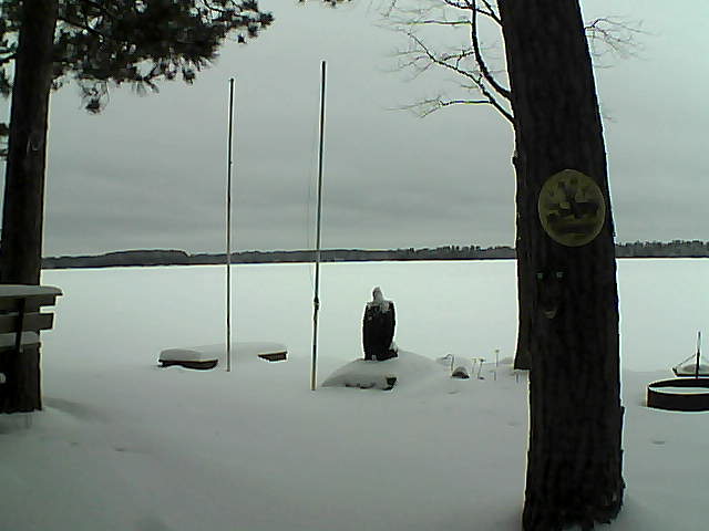 Whiteface Cam Image - Tue, 01/26/2016 7:44am 