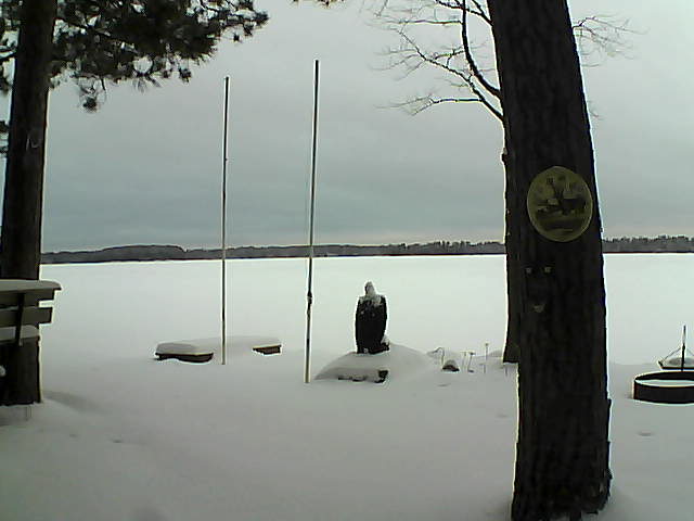 Whiteface Cam Image - Tue, 01/26/2016 8:24am 