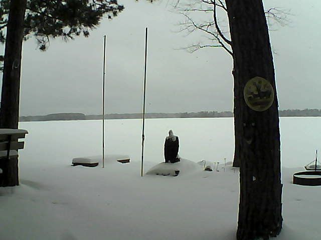 Whiteface Cam Image - Tue, 01/26/2016 11:44am 