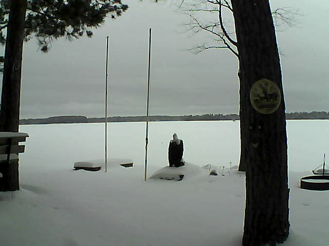 Whiteface Cam Image - Tue, 01/26/2016 2:04pm 