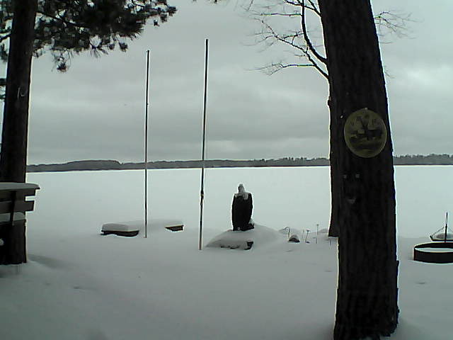 Whiteface Cam Image - Tue, 01/26/2016 3:24pm 