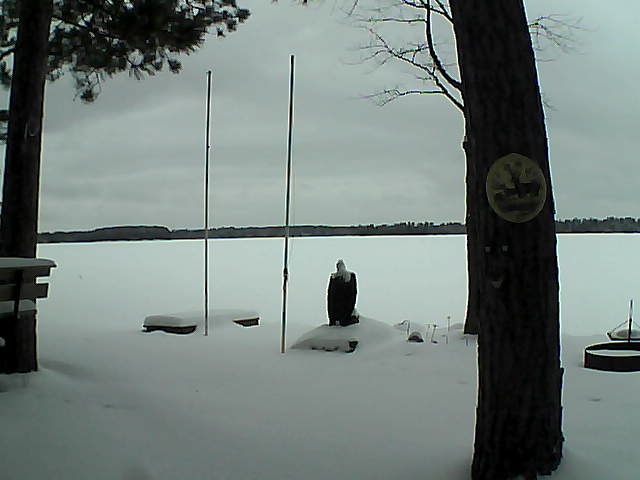 Whiteface Cam Image - Tue, 01/26/2016 4:24pm 