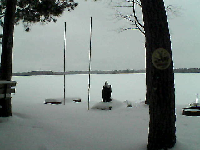 Whiteface Cam Image - Tue, 01/26/2016 5:24pm 