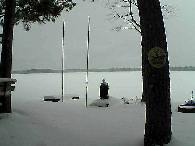 Whiteface Cam Image - Wed, 01/27/2016 11:24am 