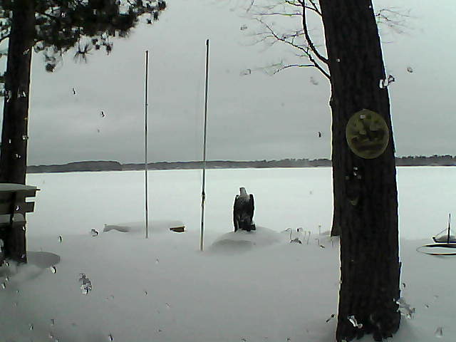 Whiteface Cam Image - Thu, 01/28/2016 7:24am 