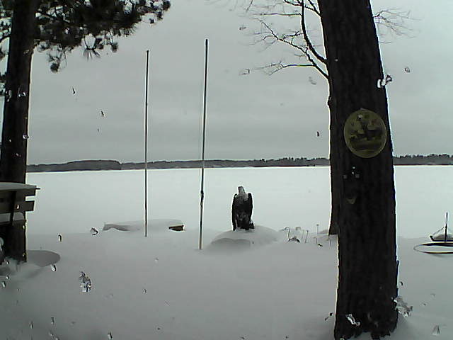 Whiteface Cam Image - Thu, 01/28/2016 7:44am 