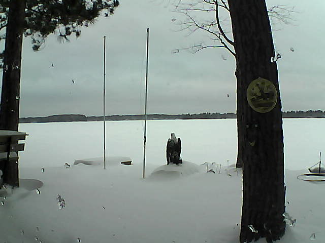 Whiteface Cam Image - Thu, 01/28/2016 8:04am 