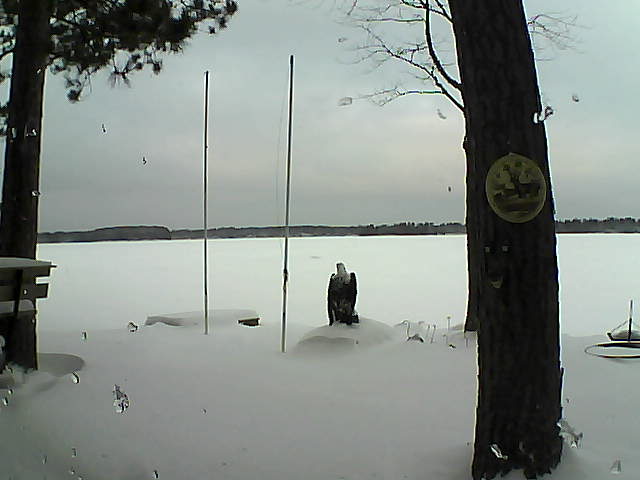 Whiteface Cam Image - Thu, 01/28/2016 8:24am 