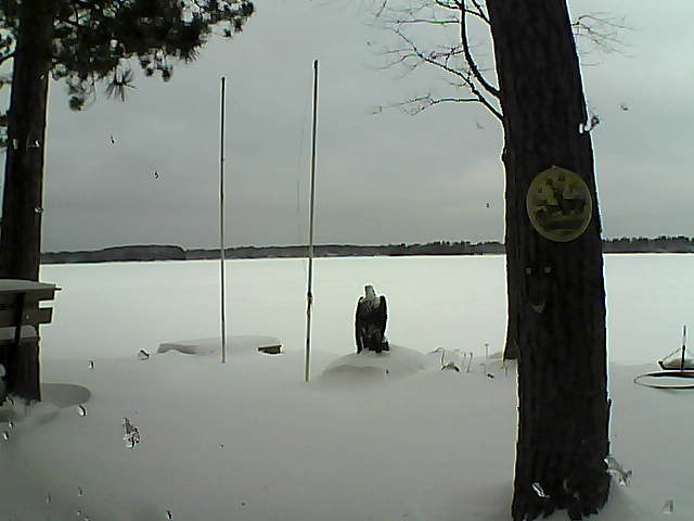 Whiteface Cam Image - Thu, 01/28/2016 8:44am 